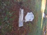 image of grave number 760037